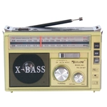 خرید، قیمت و مشخصات رادیو بلوتوثی گولون مدل RX-381BT