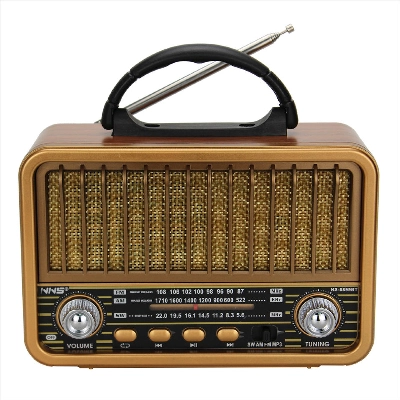 رادیو بلوتوثی ان ان اس مدل NS-8899BT